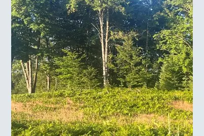 13251 Makinen Road, Kaleva, MI 49645 - Photo 5