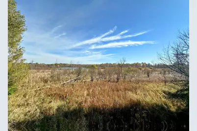 V/L S Jackson Road, Jackson, MI 49201 - Photo 9