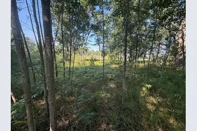 W Royal Road #Lot 1, Canadian Lakes, MI 49346 - Photo 7