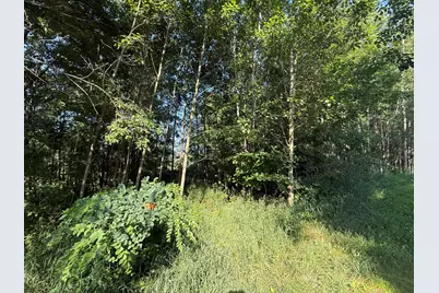 W Royal Road #Lot 1, Canadian Lakes, MI 49346 - Photo 3
