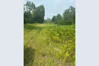 7893 S 220th Avenue, Reed City, MI 49677 - Photo 1