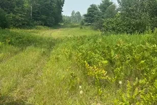 7893 S 220th Ave, Reed City, MI 49677 - Photo 1