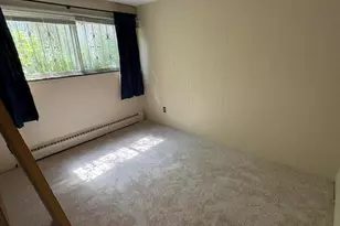 1011 Olivia Ave, Ann Arbor, MI 48104 - Photo 7