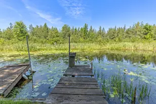 22713 Pogy Lake Dr, Evart, MI 49631 - Photo 19
