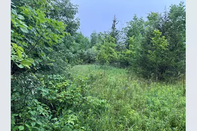 14300 Union Road, Hudson, MI 49247 - Photo 19