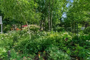 6806 Wiley Rd, Douglas, MI 49406 - Photo 67
