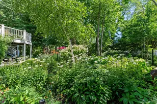 6806 Wiley Rd, Douglas, MI 49406 - Photo 63