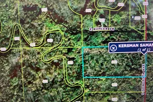 V/L Newcosta Ave, Howard City, MI 49329 - Photo 1
