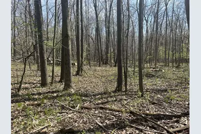 Halfmoon Lake Rd., Hillsdale, MI 49242 - Photo 1