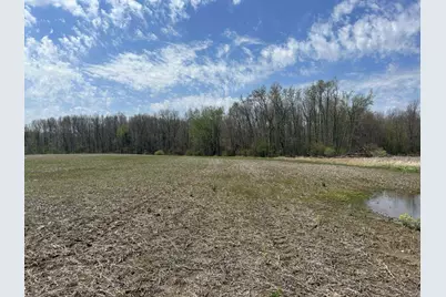 Halfmoon Lake Rd., Hillsdale, MI 49242 - Photo 11