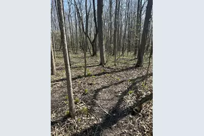 Halfmoon Lake Rd., Hillsdale, MI 49242 - Photo 3