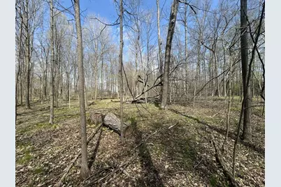 Halfmoon Lake Rd., Hillsdale, MI 49242 - Photo 5