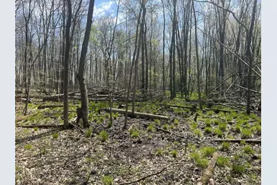 Halfmoon Lake Rd., Hillsdale, MI 49242 - Photo 7