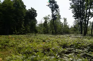 3820 N Beech Ave, White Cloud, MI 49349 - Photo 27