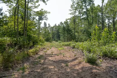 3820 N Beech Avenue, White Cloud, MI 49349 - Photo 33