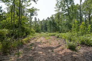 3820 N Beech Ave, White Cloud, MI 49349 - Photo 33