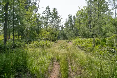 3820 N Beech Avenue, White Cloud, MI 49349 - Photo 31