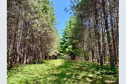 9638 8 Mile Road, Kaleva, MI 49645 - Photo 9