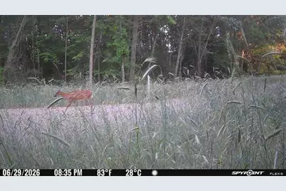 Vl Kingsbury Road #Parcel D, Delton, MI 49046 - Photo 11