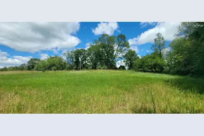 Vl Kingsbury Road #Parcel D, Delton, MI 49046 - Photo 5