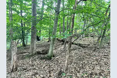 Lot 13 Northern Drive, Pentwater, MI 49449 - Photo 5