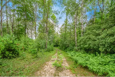 20290 11 Mile Road, Leroy, MI 49655 - Photo 11