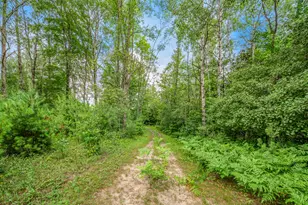 20290 11 Mile Rd, Leroy, MI 49655 - Photo 11