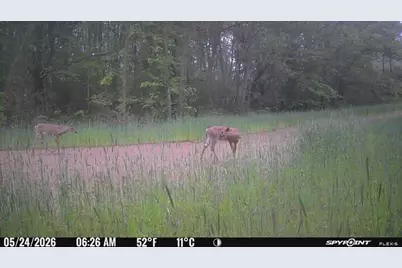 Vl Kingsbury Road #Parcel C, Delton, MI 49046 - Photo 15