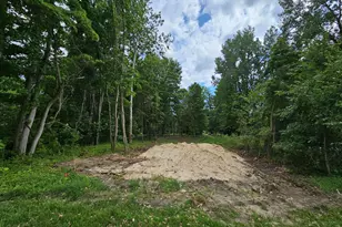 Miami Ave, Grand Junction, MI 49056 - Photo 1