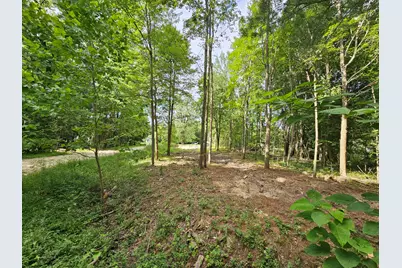 Miami Avenue, Grand Junction, MI 49056 - Photo 3