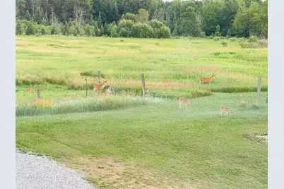 12423 20th Avenue N, Marion, MI 49665 - Photo 57