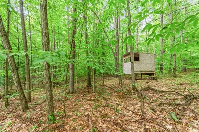7975 110th Avenue, Evart, MI 49631 - Photo 27