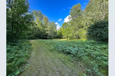 17219 7 Mile Road, Reed City, MI 49677 - Photo 49