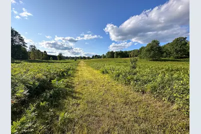 17219 7 Mile Road, Reed City, MI 49677 - Photo 51
