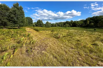 17219 7 Mile Road, Reed City, MI 49677 - Photo 33