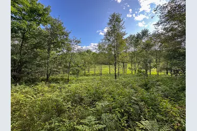 17219 7 Mile Road, Reed City, MI 49677 - Photo 35