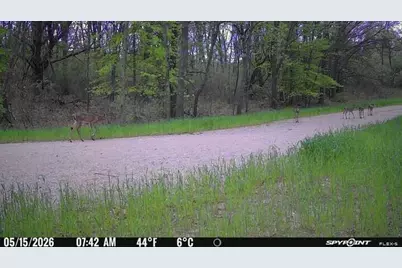 Vl Kingsbury Road #Parcel B, Delton, MI 49046 - Photo 5