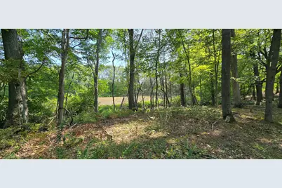 Vl Kingsbury Road #Parcel A, Delton, MI 49046 - Photo 7
