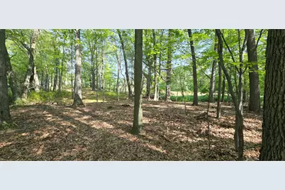 Vl Kingsbury Road #Parcel A, Delton, MI 49046 - Photo 5