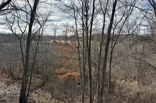 9936 Tioga Dr, Pinckney, MI 48169 - Photo 25
