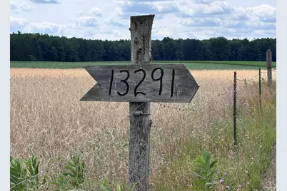 Johnson Road, Kaleva, MI 49645 - Photo 19