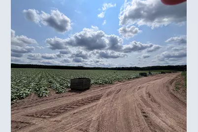 Johnson Road, Kaleva, MI 49645 - Photo 13