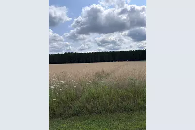 Johnson Road, Kaleva, MI 49645 - Photo 17
