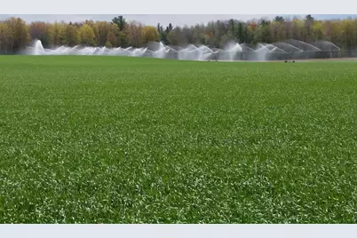 Johnson Road, Kaleva, MI 49645 - Photo 1