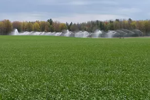 Johnson Rd, Kaleva, MI 49645 - Photo 1