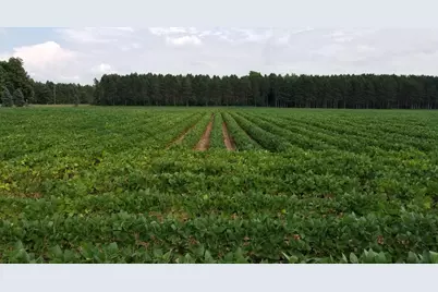 Johnson Road, Kaleva, MI 49645 - Photo 7