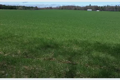 Johnson Road, Kaleva, MI 49645 - Photo 3