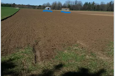 Johnson Road, Kaleva, MI 49645 - Photo 5