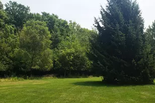621 Ridge Ln, Tecumseh, MI 49286 - Photo 5