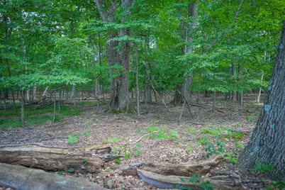 V/L W Adams Road, Pentwater, MI 49449 - Photo 15